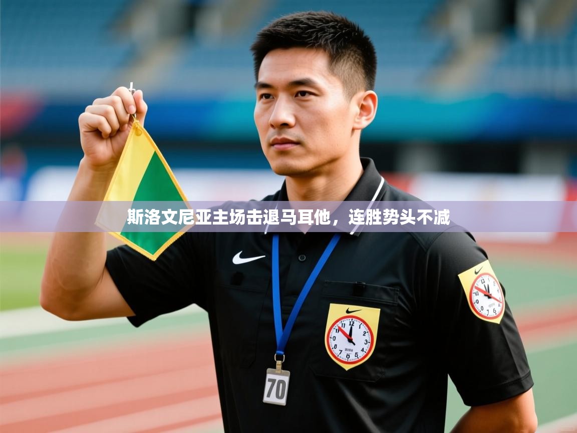 鲸蓝体育平台-斯洛文尼亚主场击退马耳他，连胜势头不减  第2张