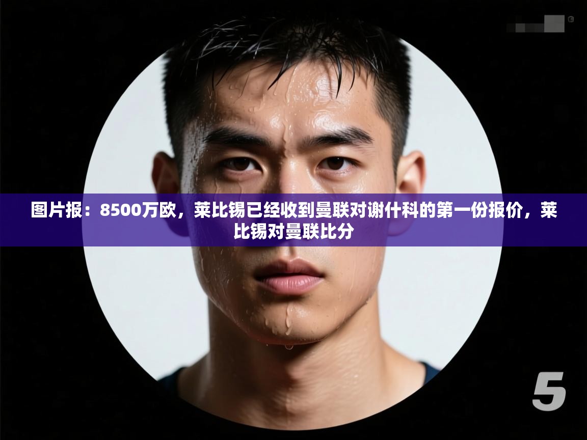 蓝鲸体育足球直播在线观看-图片报：8500万欧，莱比锡已经收到曼联对谢什科的第一份报价，莱比锡对曼联比分  第1张