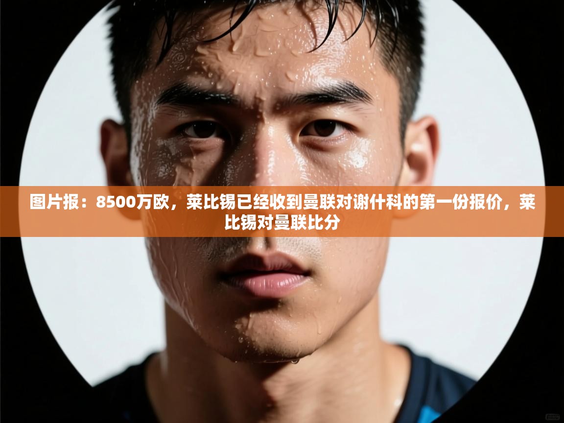 蓝鲸体育足球直播在线观看-图片报：8500万欧，莱比锡已经收到曼联对谢什科的第一份报价，莱比锡对曼联比分  第2张