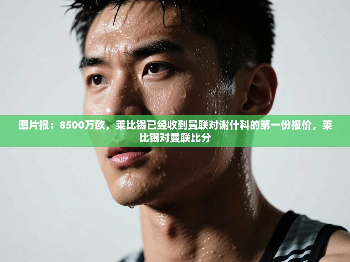 蓝鲸体育足球直播在线观看-图片报：8500万欧，莱比锡已经收到曼联对谢什科的第一份报价，莱比锡对曼联比分  第3张