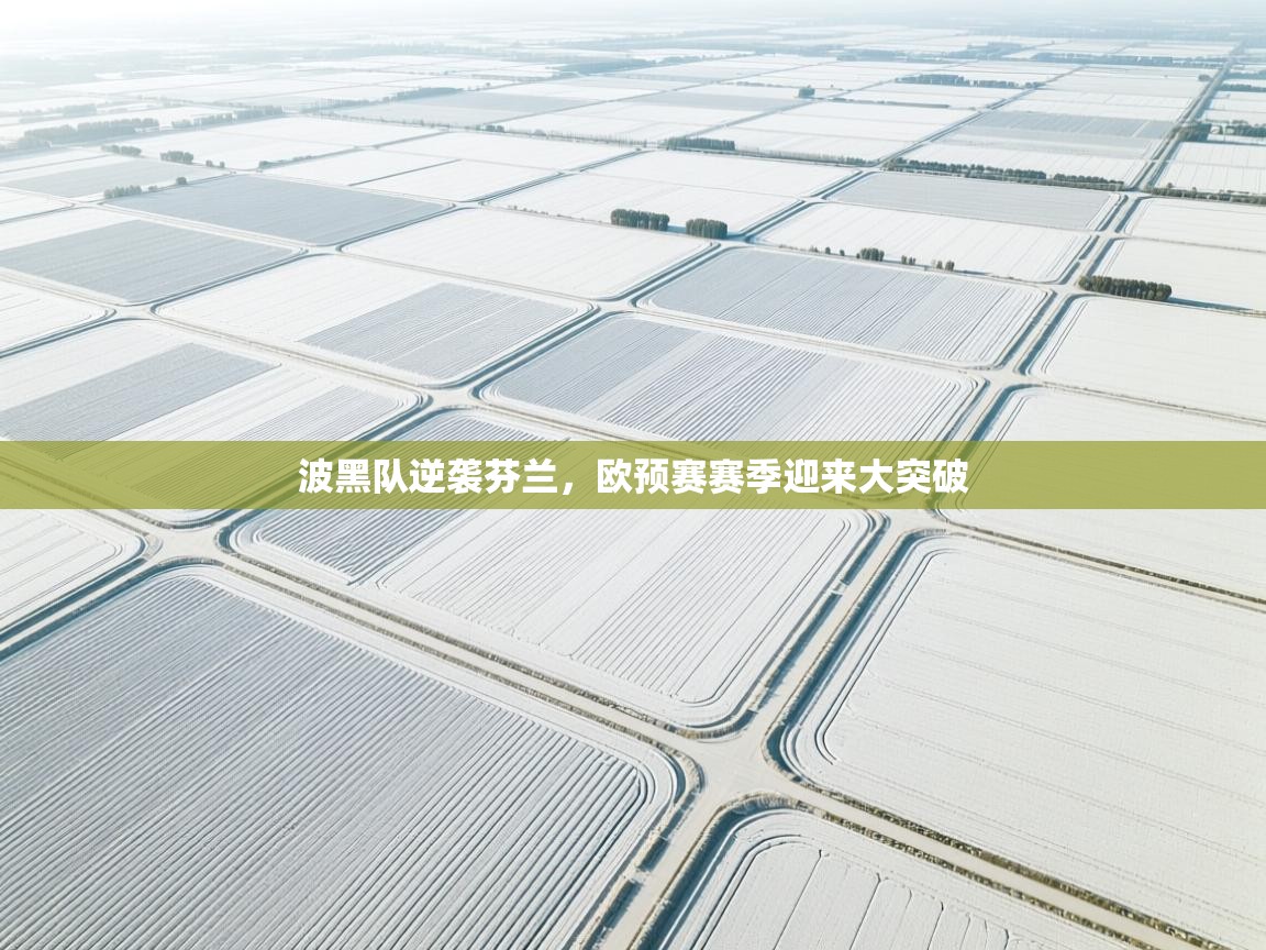 蓝鲸体育-波黑队逆袭芬兰，欧预赛赛季迎来大突破  第1张