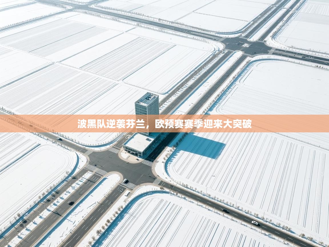 蓝鲸体育-波黑队逆袭芬兰，欧预赛赛季迎来大突破  第3张