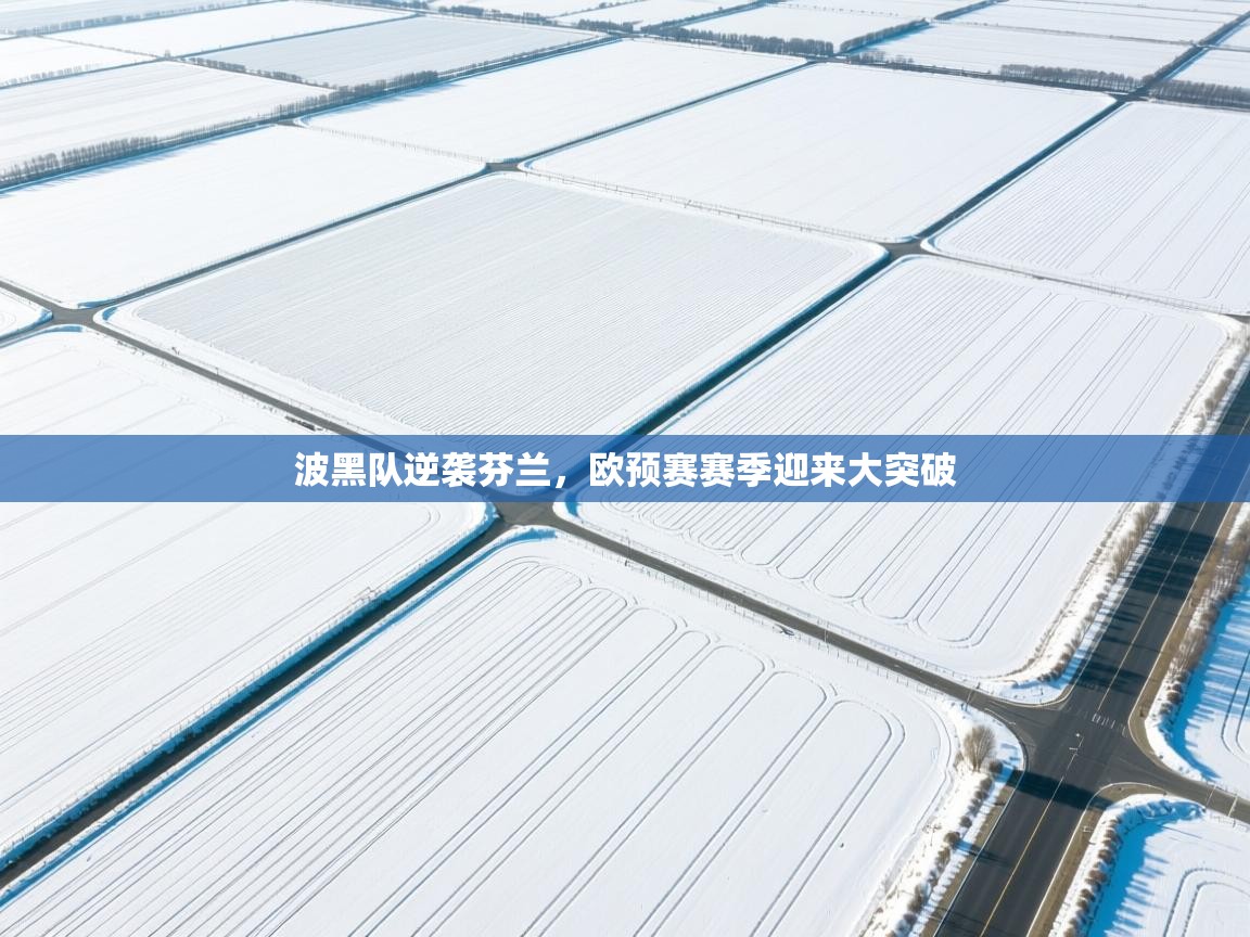 蓝鲸体育-波黑队逆袭芬兰，欧预赛赛季迎来大突破  第2张