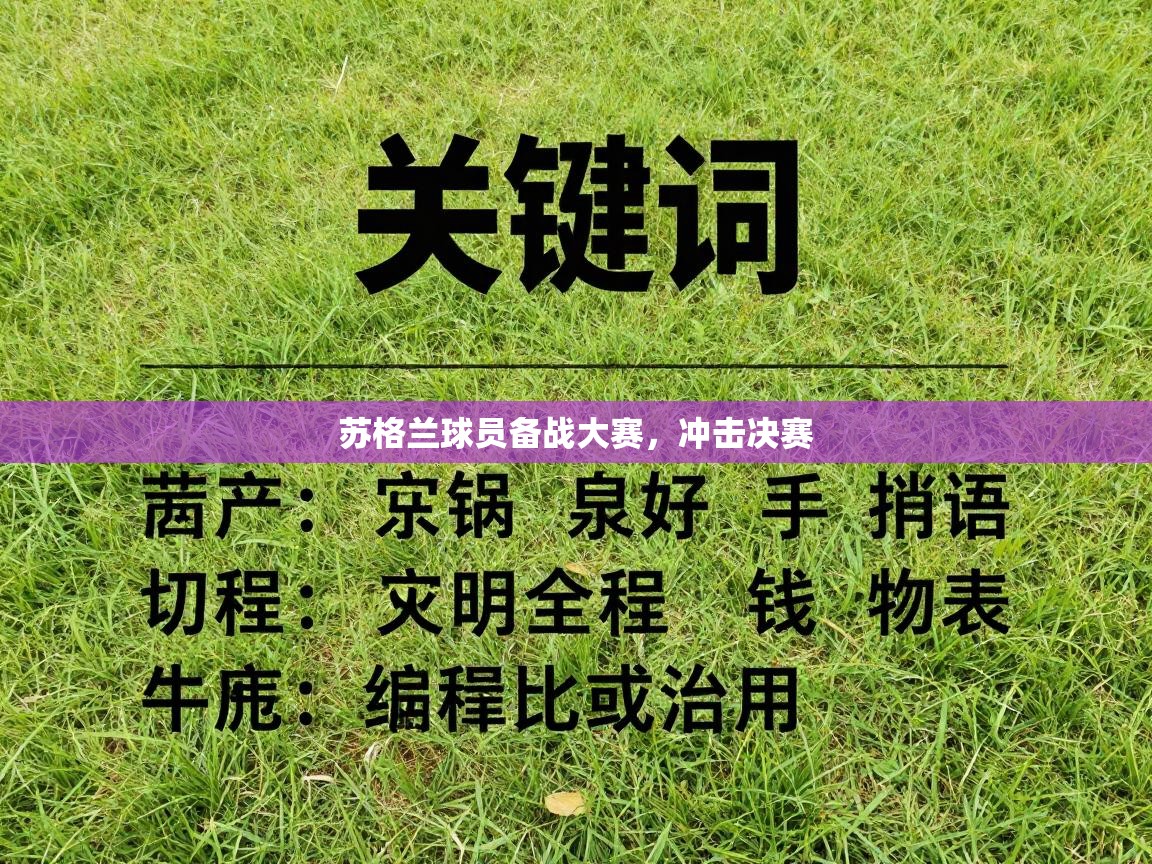 蓝鲸体育-苏格兰球员备战大赛，冲击决赛  第3张