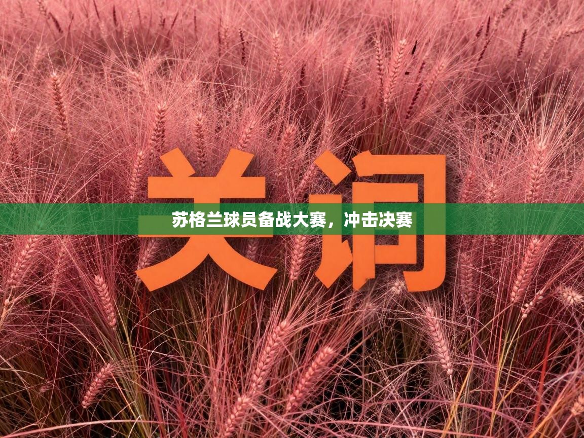 蓝鲸体育-苏格兰球员备战大赛，冲击决赛  第4张