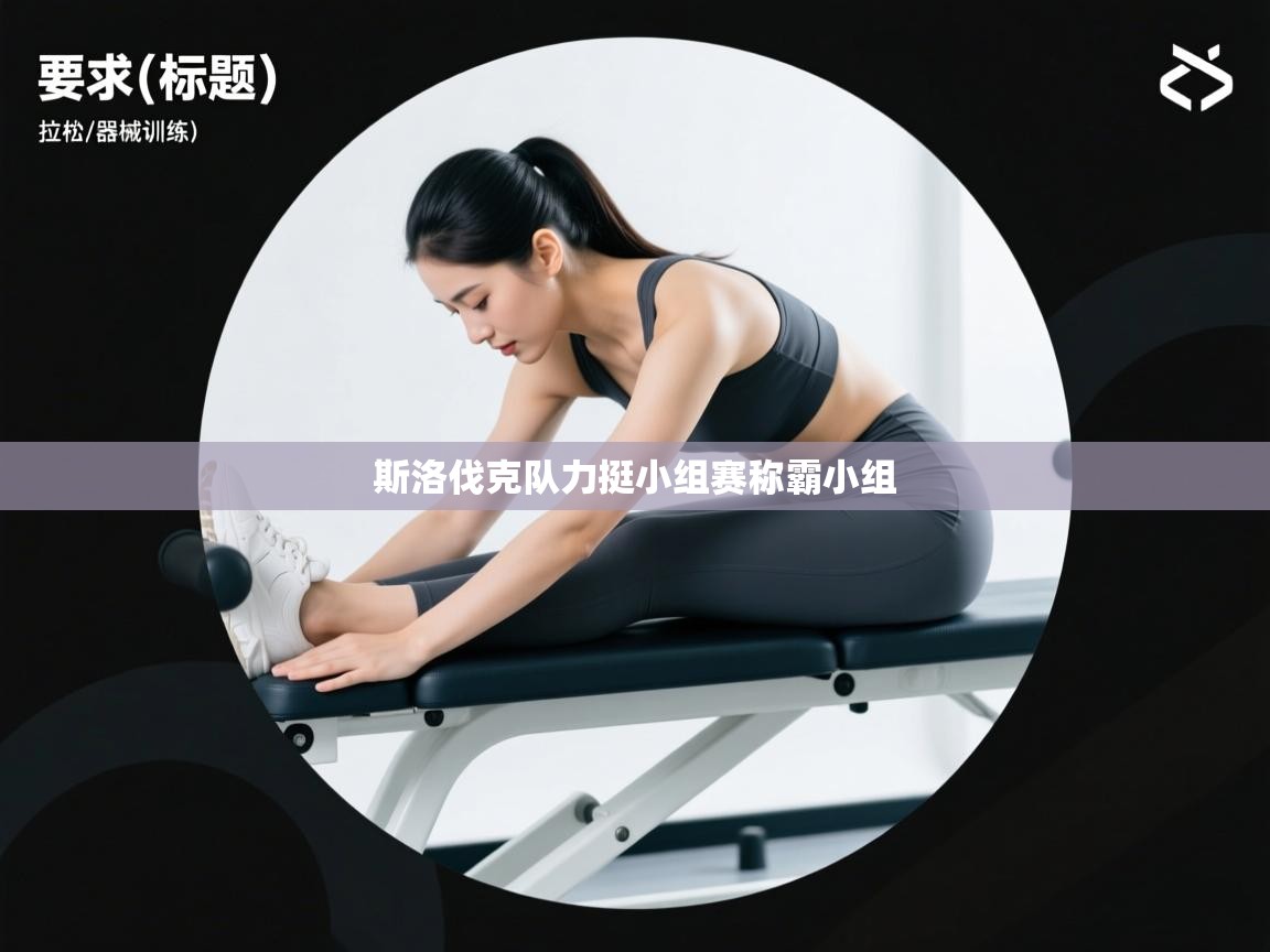 鲸蓝体育官网-斯洛伐克队力挺小组赛称霸小组  第2张