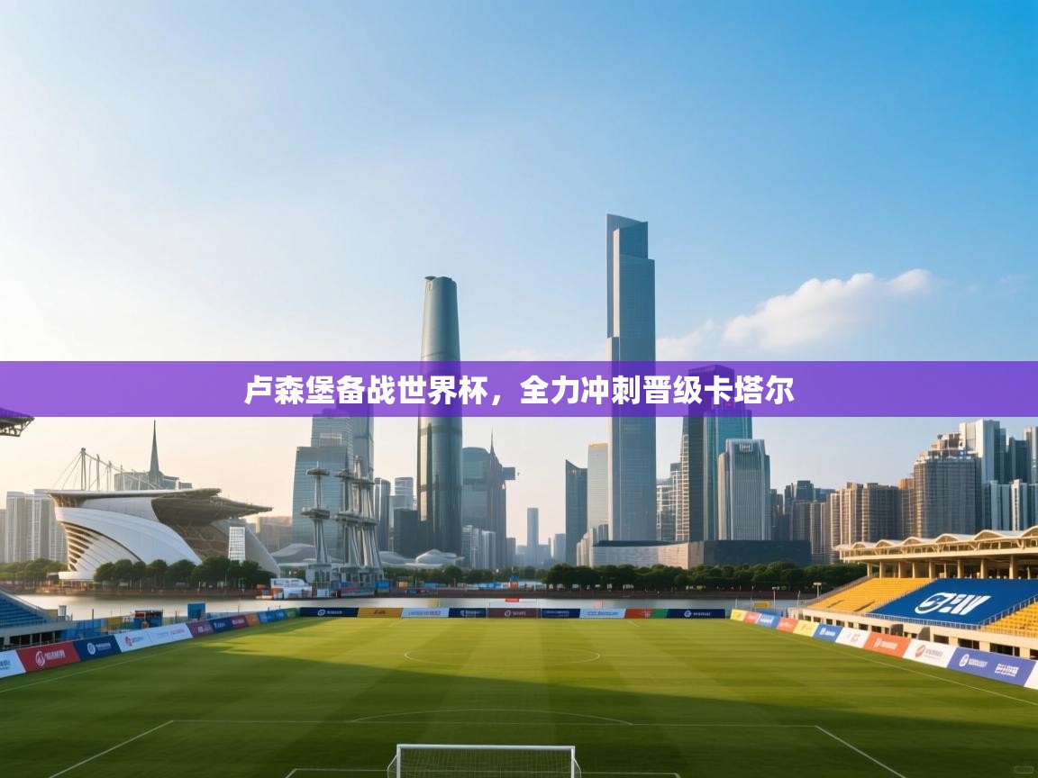 蓝鲸体育电脑版下载官网-卢森堡备战世界杯，全力冲刺晋级卡塔尔  第3张