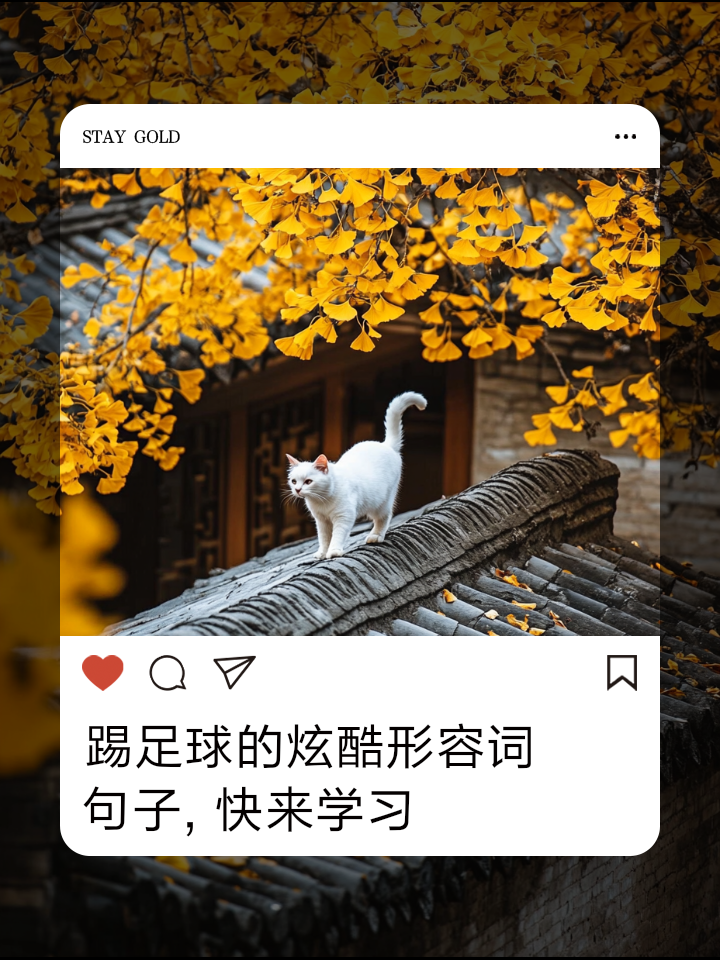 广发体育官网首页-关于球场上的激情碰撞，夺魁之路半凌凌的信息